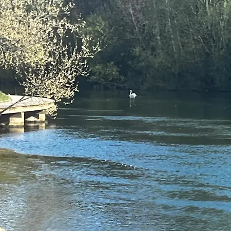 公寓 La Marne Paris Saint-Maur-des-Fossés